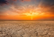 Research: Ever-increasing CO2 levels could take us back to the tropical climate of Paleogene period —