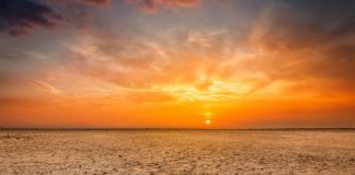 Research: Ever-increasing CO2 levels could take us back to the tropical climate of Paleogene period —