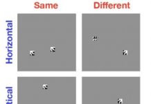 Tech: Key weakness in modern computer vision systems identified — (Report)