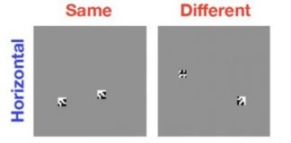 Tech: Key weakness in modern computer vision systems identified — (Report)