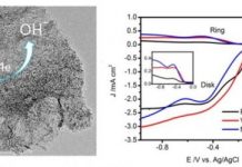 Tech: New electrocatalyst developed for ORR — (Report)