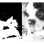 Study: Past experiences shape what we see more than what we are looking at now — (Details)