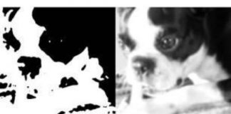 Study: Past experiences shape what we see more than what we are looking at now — (Details)