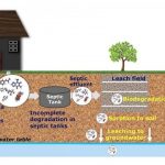 Study: Small amounts of pharmaceuticals found in north central Pa. rural well water — (Details)