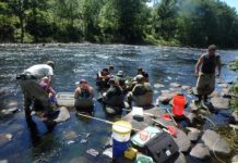 Research: Coldwater streams may provide refuge against changing climate —