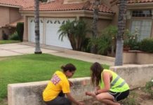 Research: Urban geophone array offers new look at northern Los Angeles basin —