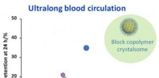 Study: Tests show ‘crystalsome’ nanoparticle lasts longer in bloodstream — (Details)