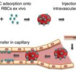 Study: New drug delivery technology aims to decrease side effects and improve efficacy — (Details)