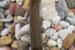 Research: Pinpointing a molecule for sea lamprey control —