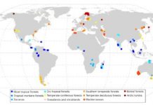 Research: First global survey of soil genomics reveals a war between fungi and bacteria —