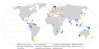Research: First global survey of soil genomics reveals a war between fungi and bacteria —