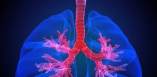Study: A previously unknown airway cell type may be a key to efforts to cure cystic fibrosis — (Details)