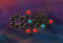 Research: Defects linked to disruption of key protein involved in fetal development; finding will help guide development of new drugs —