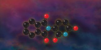 Research: Defects linked to disruption of key protein involved in fetal development; finding will help guide development of new drugs —