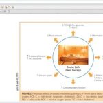 Study: Frequent sauna bathing has many health benefits — (Details)