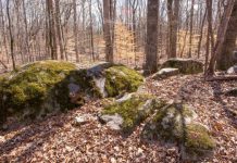 Research: Study suggests carbon stored in soil is entering atmosphere faster, thanks to microbes —