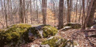 Research: Study suggests carbon stored in soil is entering atmosphere faster, thanks to microbes —