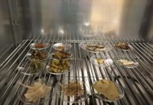 Research: Study expands what we know about natural, low-cost ways to remove pollutants from water —