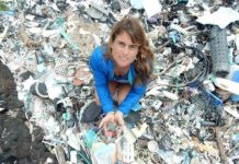 Research: Degrading plastics revealed as source of greenhouse gases —