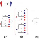 Study: Genetic signatures trace origin of infection and its potential path through populations, allowing state health departments to track the disease — (Details)