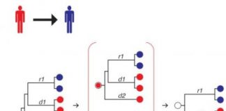 Study: Genetic signatures trace origin of infection and its potential path through populations, allowing state health departments to track the disease — (Details)