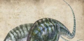 Research: New dinosaur found in the wrong place, at the wrong time —