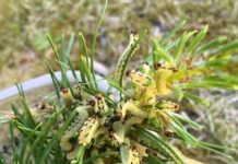 Research: Research sheds light on the evolution of cooperation —