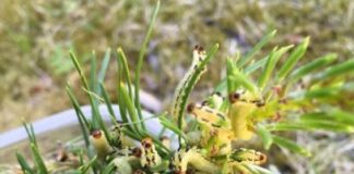 Research: Research sheds light on the evolution of cooperation —