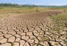 Research: Heatwave and climate change having negative impact on our soil say experts —