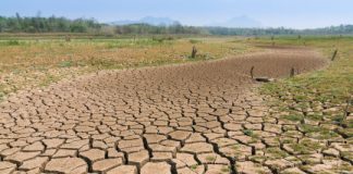 Research: Heatwave and climate change having negative impact on our soil say experts —