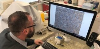 Study: Stem cell research for cystic fibrosis leaps forward — (Details)