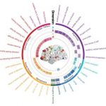 Study: Penn study pinpoints four brain-guided dimensions of psychopathology — mood, psychosis, fear, and disruptive behavior — (Details)