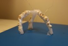 Research: A kernel of promise in popcorn-powered robots —