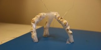 Research: A kernel of promise in popcorn-powered robots —