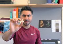 Research: The end-Cretaceous extinction unleashed modern shark diversity —