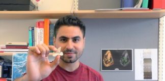 Research: The end-Cretaceous extinction unleashed modern shark diversity —