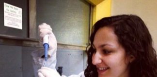 Study: Study challenges evolution of FOXP2 as human-specific language gene — (Details)