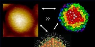 Tech: High-resolution imaging of nanoparticle surface structures is now possible — (Report)