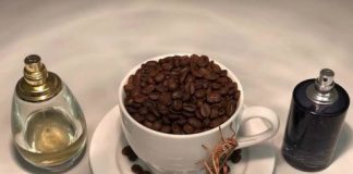 Tech: Computational logic can describe how locusts recognizes smells in a dynamic environment — (Report)