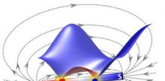 Tech: The marriage of topology and magnetism in a Weyl system — (Report)