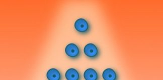 Study: New research opens door to expanding stem cells available for transplants — (Details)