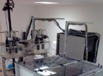 Research: Mice individuality is influenced by their relations —