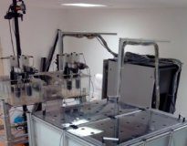 Research: Mice individuality is influenced by their relations —