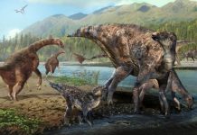 Research: First North American co-occurrence of Hadrosaur and Therizinosaur tracks found in Alaska —