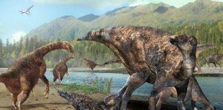 Research: First North American co-occurrence of Hadrosaur and Therizinosaur tracks found in Alaska —