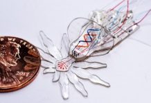 Research: Soft multi-functional robots get really small…and spider-shaped —