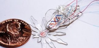 Research: Soft multi-functional robots get really small…and spider-shaped —