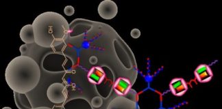 Study: Solving its insolubility, researchers discover method to deliver curcumin to cancer cells — (Details)