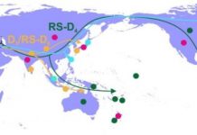 Research: Scientists shed new light on hepatitis B virus origins —