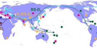 Research: Scientists shed new light on hepatitis B virus origins —